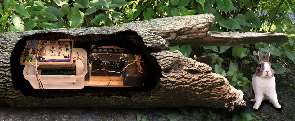 The Tree Whispers Hudson